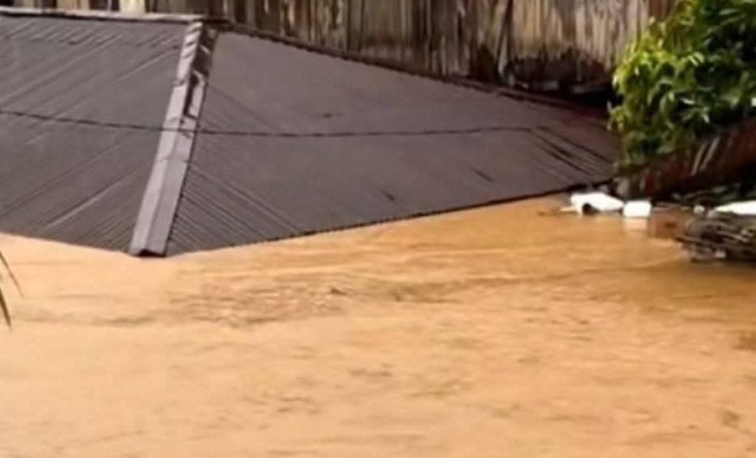 FB_IMG_1761479497899