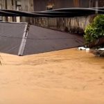 FB_IMG_1761479497899