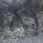 FB_IMG_1763024499207