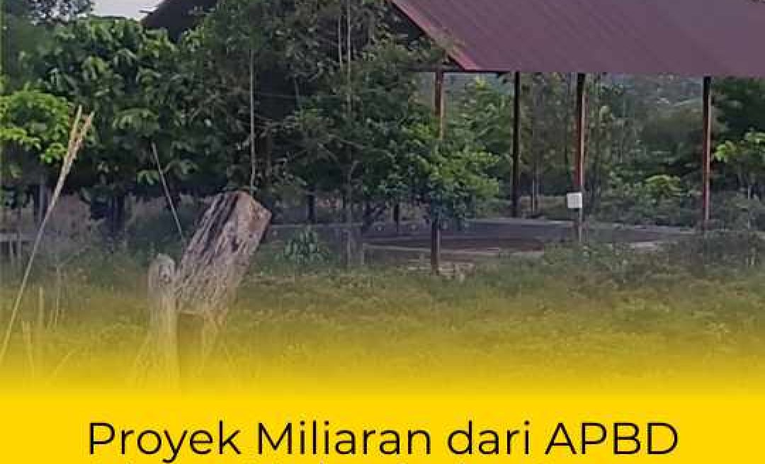 1_20251207_000606_0000